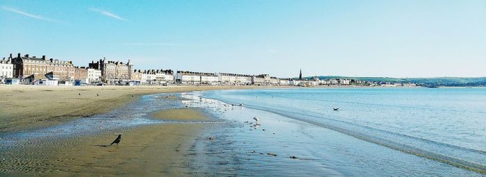 Scenic view of beach