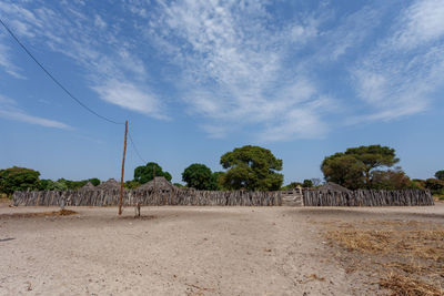 Trees on field against sky