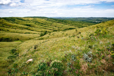 Scenic view of green landscape against sky