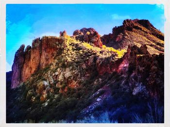 Low angle view of trees against sky