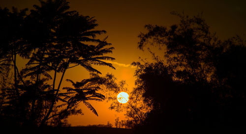 Silhouette trees against sky at night