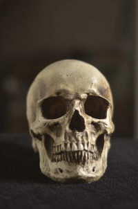 Close-up of human skull on table