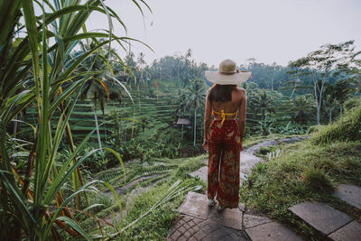 Young woman at rice terrace