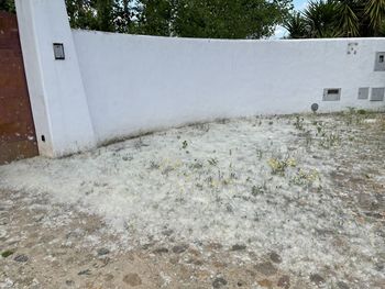 White house on field by wall during winter