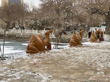 View of an animal on snow covered landscape