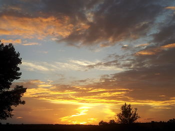 Silhouette of trees at sunset