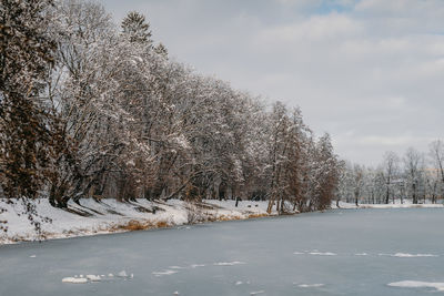 Snow covered land and trees against sky