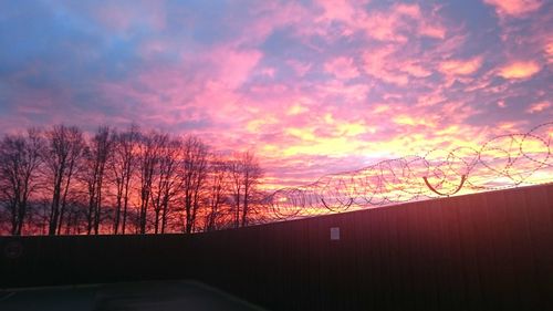 Bare trees against sky at sunset