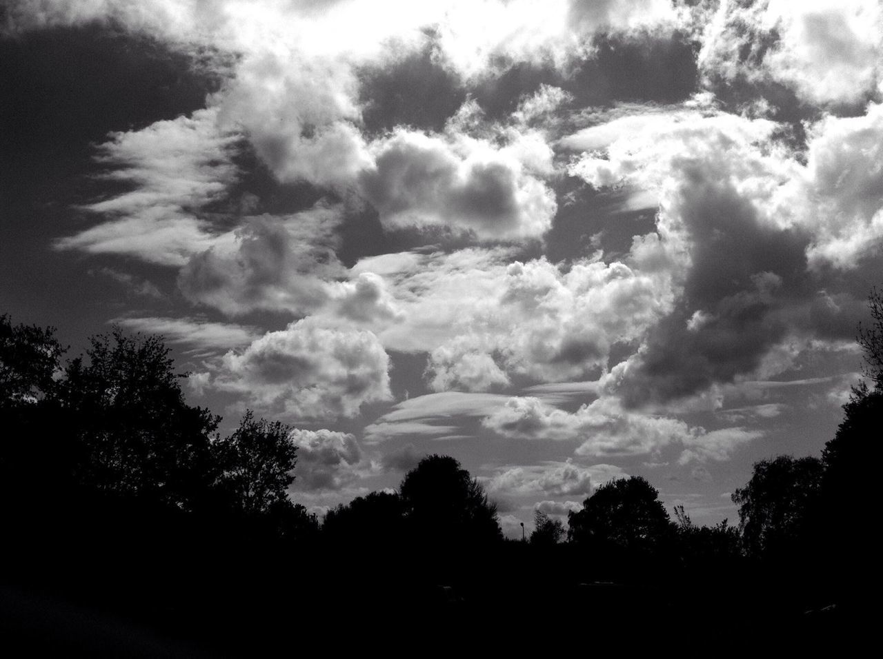 tree, silhouette, sky, tranquility, tranquil scene, cloud - sky, beauty in nature, scenics, nature, cloudy, cloud, low angle view, growth, idyllic, outdoors, landscape, no people, forest, dusk, dark