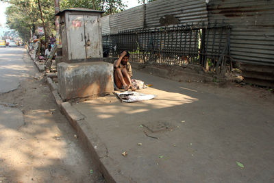 Horse cart on street