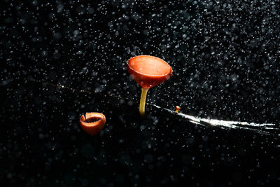 Close-up of drink on black background