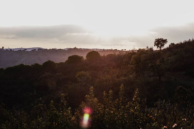 Scenic view of land against sky during sunset
