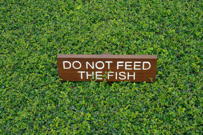 Close-up of do not feed the fish message among green plants