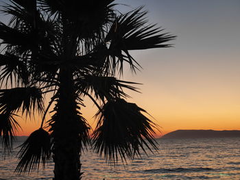 Silhouette palm tree by sea against sky at sunset