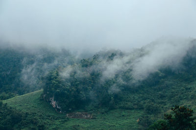 Scenic view of landscape against sky during foggy weather