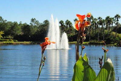 Fountain in water