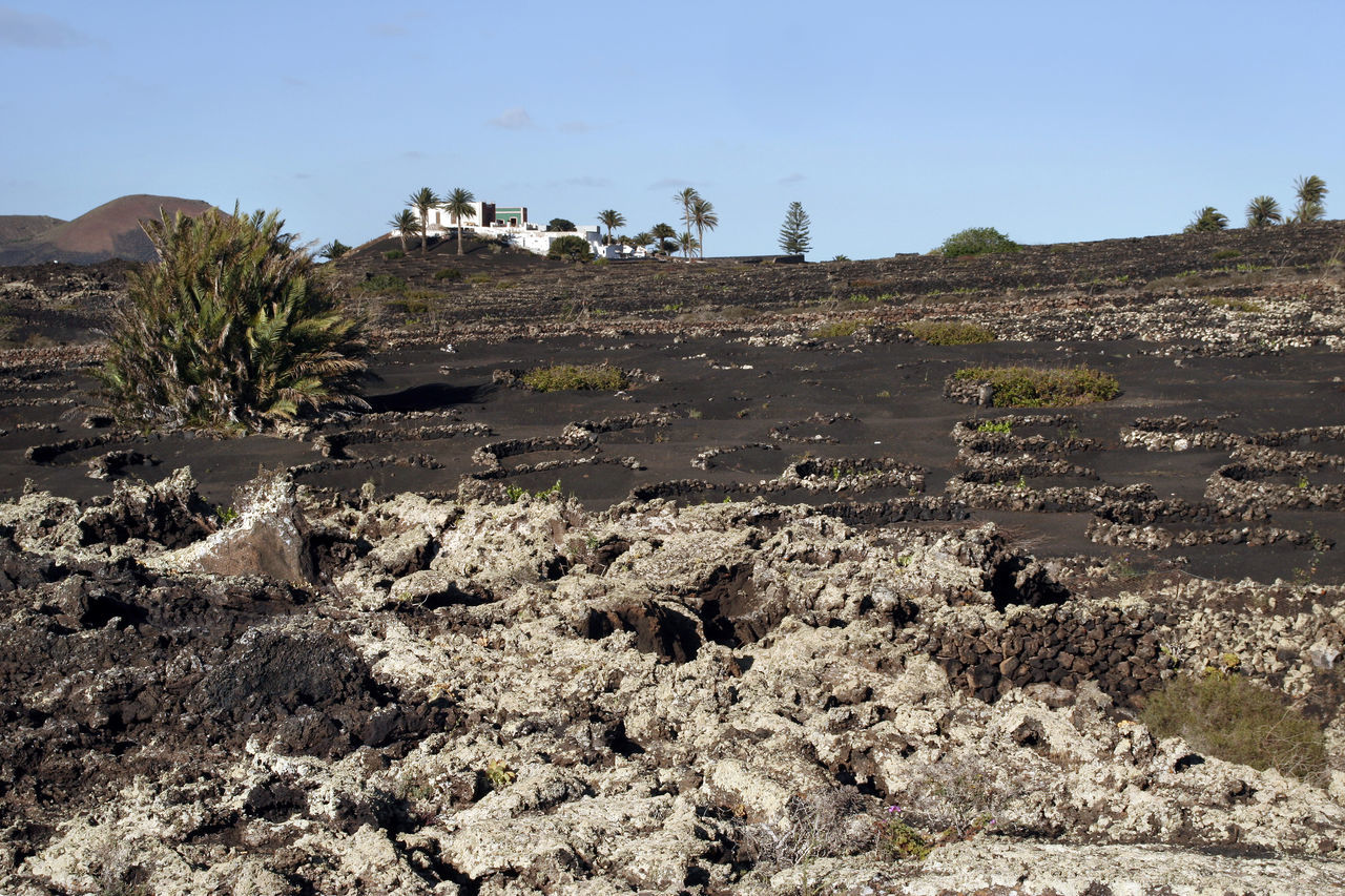 PANORAMIC VIEW OF ARID LANDSCAPE