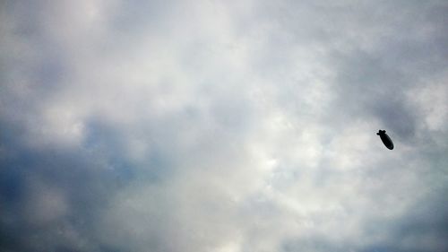 Low angle view of bird flying against cloudy sky