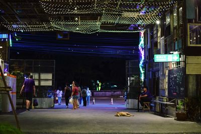 People in illuminated street at night