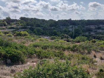 Scenic view of landscape against sky