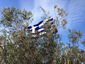 Low angle view of trees against blue sky