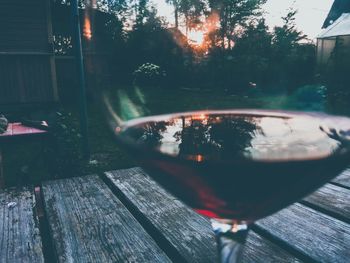 Close-up of beer glass against trees