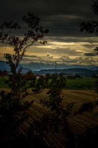 Scenic view of field against sky during sunset