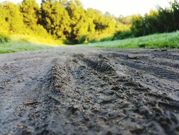 Surface level of road