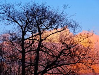 Low angle view of bare trees against sky at sunset