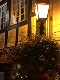 Illuminated street light by building at night