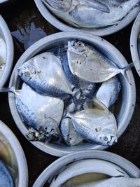 High angle view of fish for sale in market