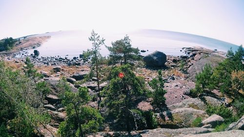 Scenic view of landscape against clear sky