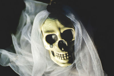 Close-up of human skull and veil on field at night