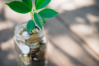 Close-up of wine glass on table