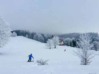 Skiers going down the slope surrounded by trees covered in snow