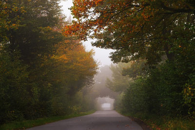 Road amidst trees against sky during autumn