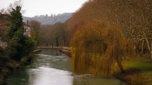 Bridge over river amidst trees in forest against sky