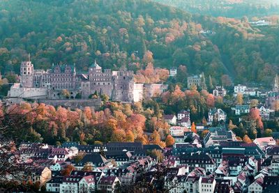 High angle view of trees and buildings in town