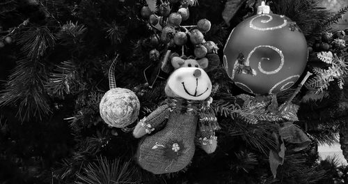 Close-up of christmas decoration hanging on tree