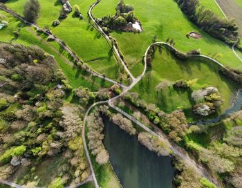 High angle view of water