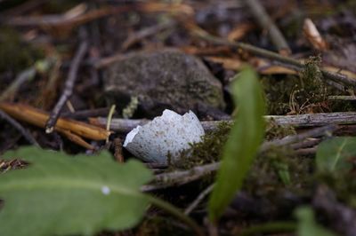 Close up of snow