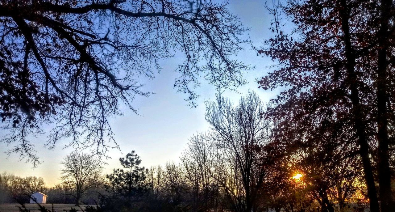 tree, plant, sky, morning, nature, sunlight, beauty in nature, tranquility, silhouette, branch, autumn, dawn, scenics - nature, outdoors, growth, bare tree, tranquil scene, sun, winter, land, forest, non-urban scene, men, leisure activity, cloud