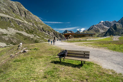 View of bench on landscape against blue sky