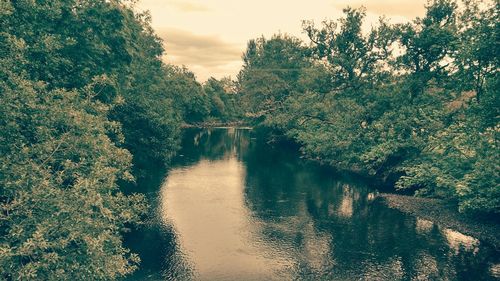 Scenic view of river against cloudy sky