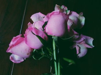 Close-up of pink rose against white background