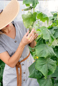 Midsection of woman holding plants