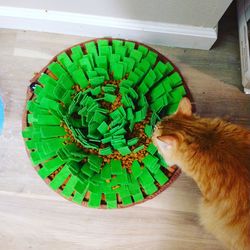 High angle view of cat on green table