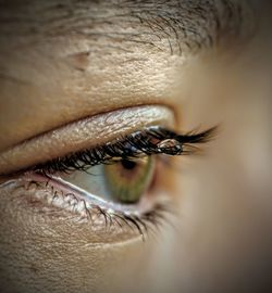 Close-up of woman eye