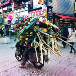 Flower for sale on street in city