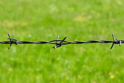 Close-up of barbed wire